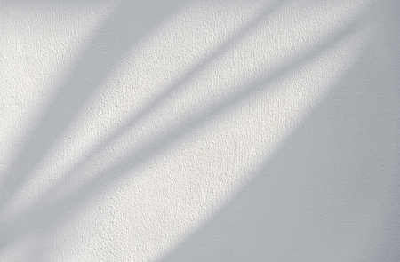 Soft plant shadows on a wall as texture or backgroundの写真素材