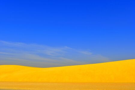 desert dune, yellow sand and blue sky, natural desertの写真素材