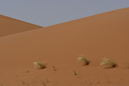 Desert Beauty in Saudi Arabiaの写真素材