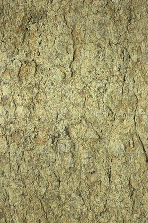 Fragment of textured wall from sandstoneの写真素材