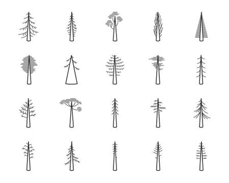 Simple set of coniferous trees related vector icons. Contains icons as araucaria, cedar, cypress, fir, pine and more.のイラスト素材