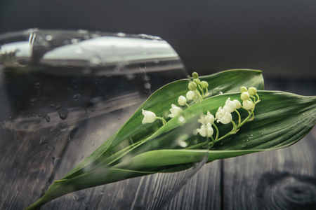 flowers of a garden lily of the valley with drops of dew lie in the transparent glass glass located on a dark wooden table, close upの写真素材