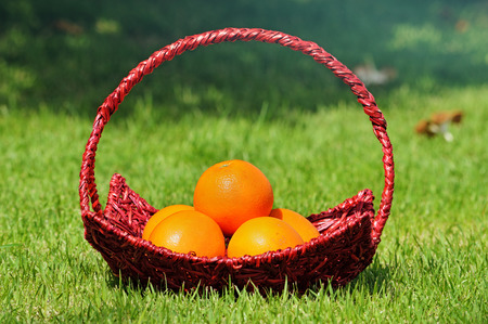 Orange ripe baskets on bright sunshineの写真素材