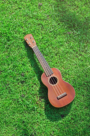 ÃªÃªUkulele on field of grassの写真素材