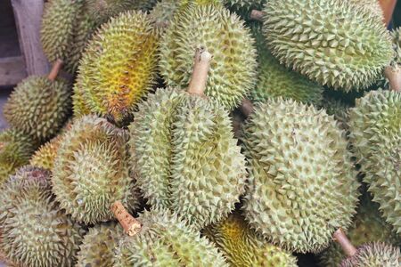 Durian king of fruit  in the Thai marketの写真素材