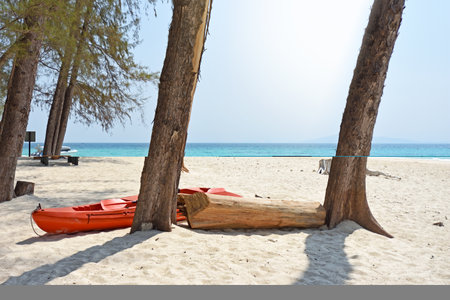 Summer beach on paradise island at Krabi Thailandの写真素材