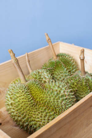 Durian in a wooden crate. Ready for shipping.の写真素材