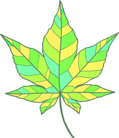 Colorful summer maple (single)のイラスト素材