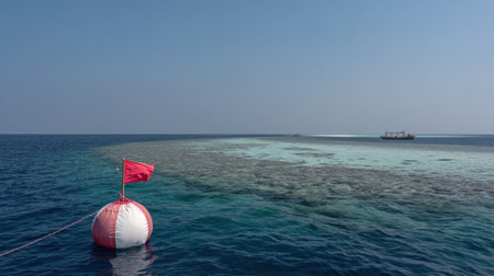 Dive buoy, flag, and anchor line floating on gentle waves near reef dive siteの素材