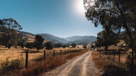 Beautiful rural countryside with fence-lined dirt road leading into distance under sunlightの素材