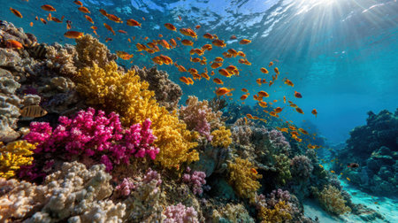 Captivating underwater image showcasing vibrant coral reefs teeming with tropical fish, illuminated by warm sunlight filtering through the water.の素材