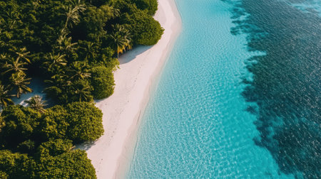 Deserted beach with crystal water and gentle surf on an idyllic islandの素材