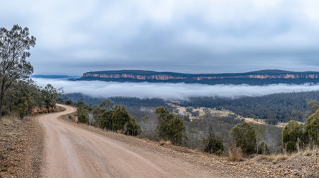 A winding dirt road meanders through a misty valley, framed by lush greenery and dramatic cliffs beneath a cloudy sky, offering a serene escape into nature.の素材