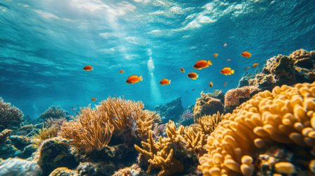 A mesmerizing view of a vibrant underwater ecosystem featuring colorful coral reefs and tropical fish. Sunlight penetrates the clear blue water, illuminating the scene.の素材