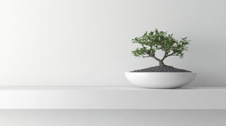 A minimalist bonsai tree sits gracefully in a white bowl on a clean shelf, presenting a serene and tranquil aesthetic perfect for home or office settings.の素材