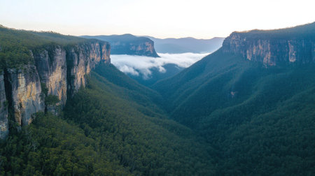 This stunning aerial view captures a serene mountain valley adorned with lush green forests and gentle mist, showcasing the breathtaking beauty of untouched nature.の素材