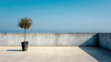 This image showcases a minimalist outdoor space with a single tree in a pot, set against a blue sky and the serene ocean view, evoking tranquility.の素材