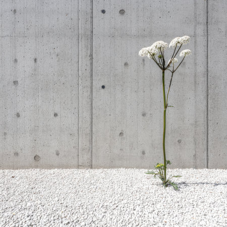 A striking image featuring a single white flower emerging from gravel, juxtaposed against a gray concrete wall, symbolizing beauty in simplicity and resilience.の素材