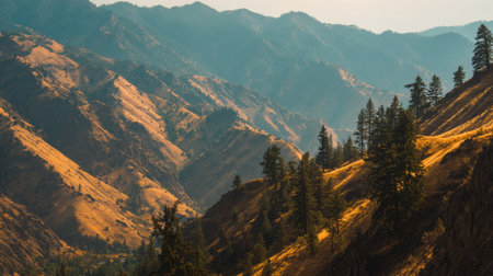 A breathtaking view of a mountain range captured during golden hour. Pine trees stand tall amidst valleys filled with autumn colors, creating a stunning natural scene.の素材