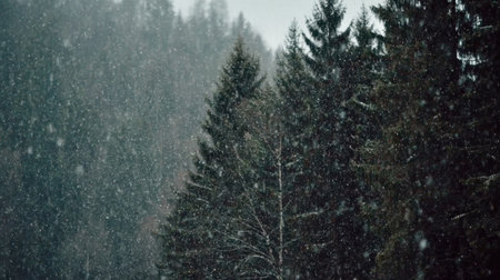 Captivating winter scenery featuring heavy snowfall in a tranquil forest with evergreen trees, perfect for evoking a sense of peace and natural beauty.の素材
