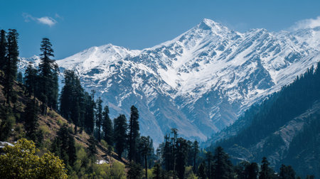 Explore the stunning beauty of towering snow-capped mountains basking in sunlight, surrounded by rich green forests in this breathtaking alpine landscape.の素材