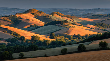 A breathtaking view of rolling hills bathed in warm golden light, showcasing the beauty of agricultural land in a tranquil countryside setting.の素材