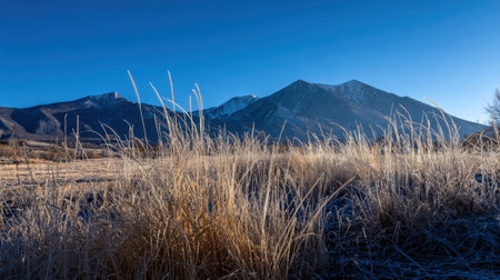 A stunning winter landscape featuring frosty grass in the foreground, with a majestic mountain range under a clear blue sky, capturing the serene beauty of nature.の素材