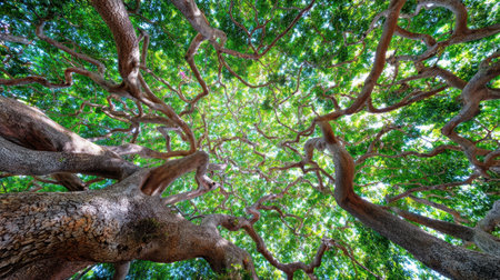 Experience the beauty of nature in this captivating image of twisting tree branches and vibrant green leaves, inviting a sense of peace and tranquility in any setting.の素材