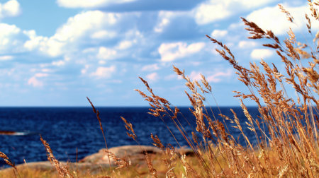 A serene scene showcasing golden grass swaying gently by the ocean, framed by a dramatic blue sky and soft clouds, perfect for evoking tranquility and nature's beauty.の素材