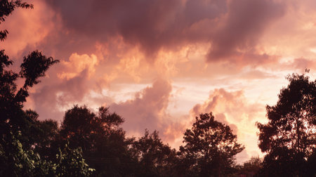 A stunning sunset displays vibrant clouds against a dusky sky, silhouetted by trees. The tranquil scene captures natureの素材