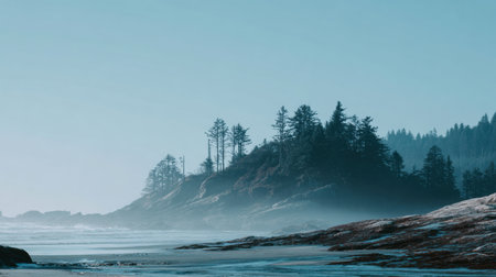 Tranquil coastal scene featuring misty trees on rocky shoreline, evoking a serene atmosphere. Perfect for nature enthusiasts seeking calm and beauty in landscapes.の素材