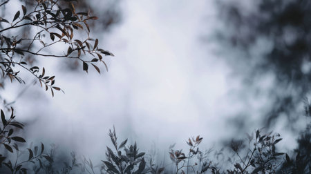 This serene nature image features softly blurred leaves against a misty background, evoking a sense of tranquility and connection to the peaceful outdoors.の素材
