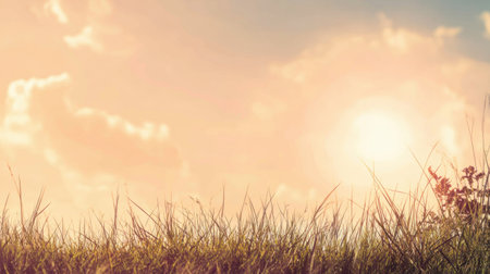 This captivating image showcases a serene sunrise illuminating a lush grassland, surrounded by soft clouds and warm light, perfect for conveying tranquility and natural beauty.の素材