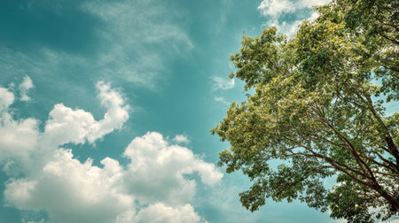 Bright and vibrant tree captured under a clear blue sky with soft white clouds, evoking a sense of peace and tranquility in a natural outdoor setting.の素材