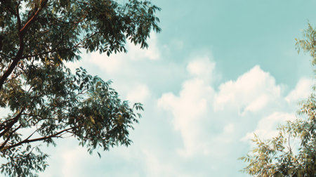 A tranquil scene featuring vibrant greenery contrasting with a bright blue sky and fluffy white clouds, perfect for evoking feelings of peace and serenity in nature.の素材