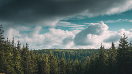 Explore a breathtaking forest landscape featuring vibrant green trees under a dramatic sky, perfect for nature lovers seeking tranquility and scenic beauty.の素材