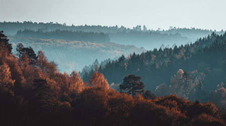 A captivating autumn landscape showcases rolling hills blanketed in mist. Vibrant foliage, enveloped in soft light, highlights the serene beauty of nature's transition.の素材