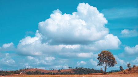 A beautiful serene landscape featuring a bright blue sky filled with fluffy clouds. An isolated tree stands on a gentle hill, creating a peaceful nature scene.の素材