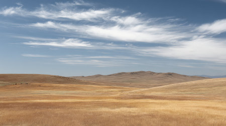 This image captures a serene open plain with gentle rolling hills, under a bright blue sky adorned with wispy clouds, perfect for nature lovers.の素材