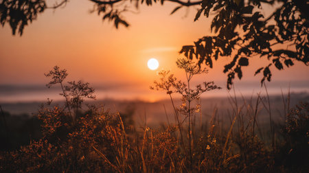 A breathtaking view of a sunset casting warm hues over a serene landscape, framed by silhouetted foliage. This image embodies the tranquility of nature.の素材