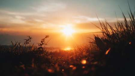A breathtaking view of a sunset illuminating the sky with vibrant colors, framed by silhouettes of grass and plants, creating a tranquil atmosphere in nature.の素材