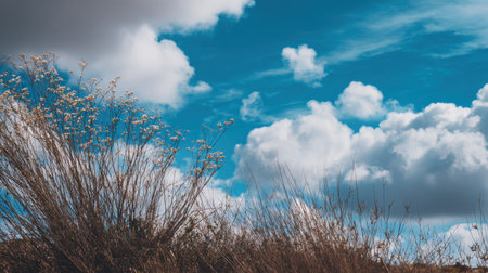 A tranquil landscape featuring wildflowers swaying gently against a backdrop of a bright blue sky filled with white, fluffy clouds. Perfect for nature themes.の素材