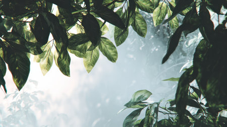 Captivating close-up of vibrant green leaves creating a beautiful frame against a soft misty background. Perfect for themes of nature, tranquility, and wilderness.の素材