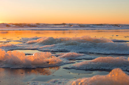 Sea foam at sunset.