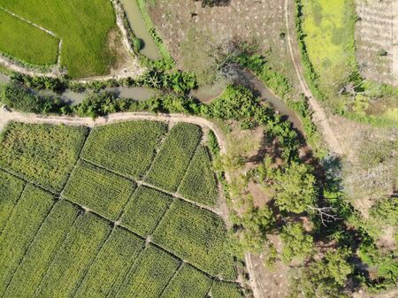 Aerial photography drone countryside agriculture and forestの写真素材