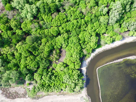 mangrove forest aerial view photography drone