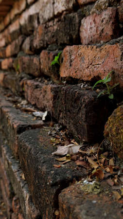 Ancient red brick wall vintage buildingの写真素材