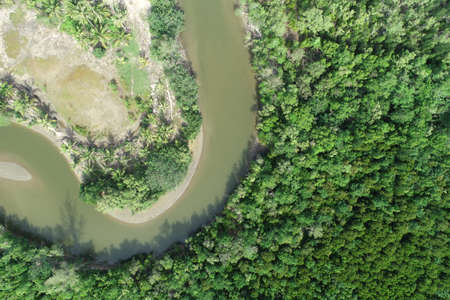 Vertical aerial view drone forest