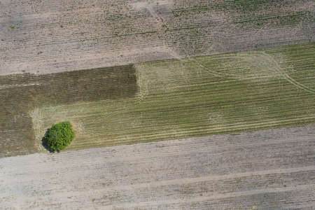 Aerial view of summer field grassland