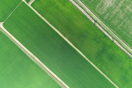 Green rice Fileds aerial view Thailand countrysideの写真素材